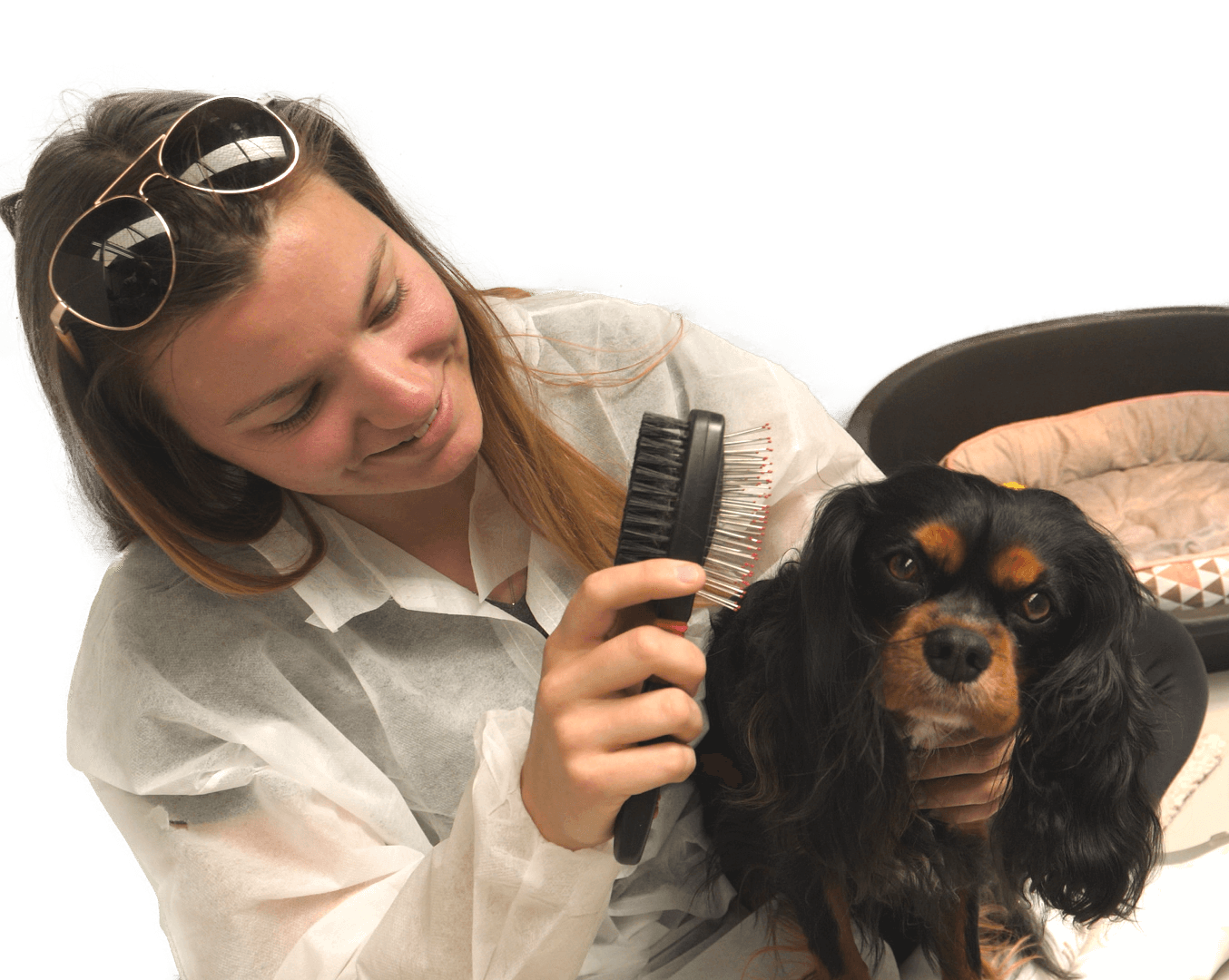 Dog quarantine kennels Bringing your pet to New Zealand?